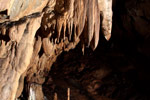Cueva de Ardales Cueva de Ardales