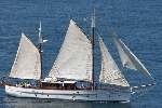 Marina Charters Marina Charters