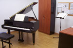 Triarte Triarte